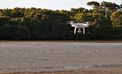 A drone flying over a flock of birds floating in the ocean at a beach. Tree-covered hills are in the background. 